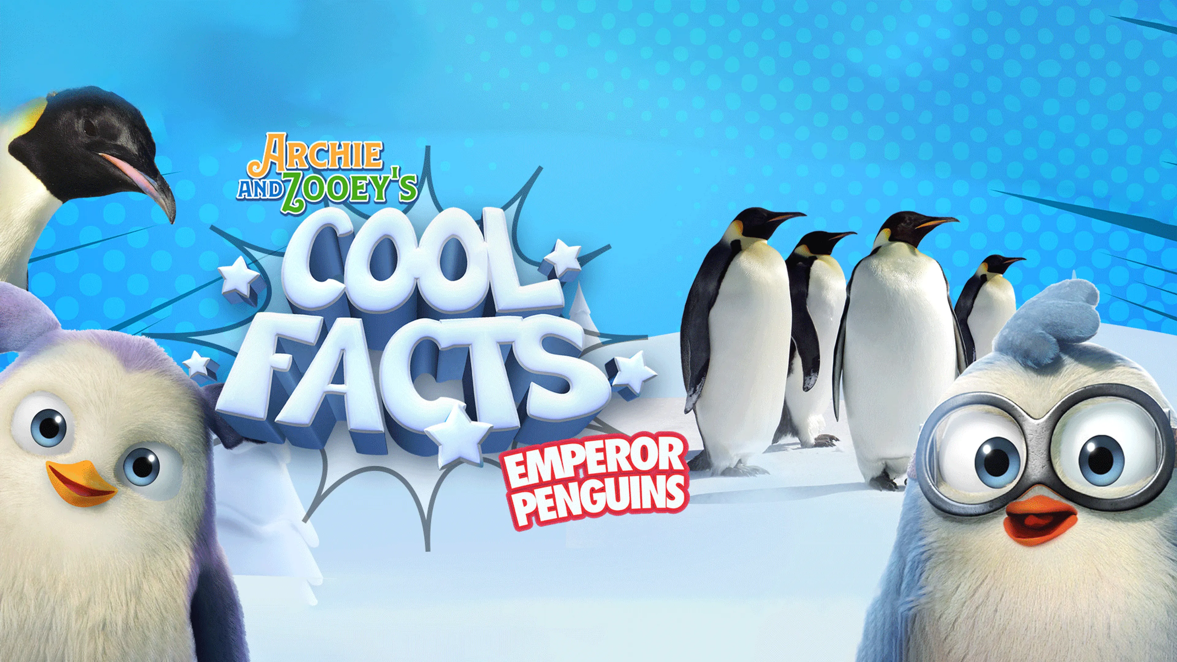 Archie And Zooey's Cool Facts: Emperor Penguins poster